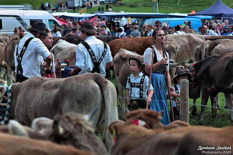 Bernhard Saalfeld - Viehscheid (4v9)